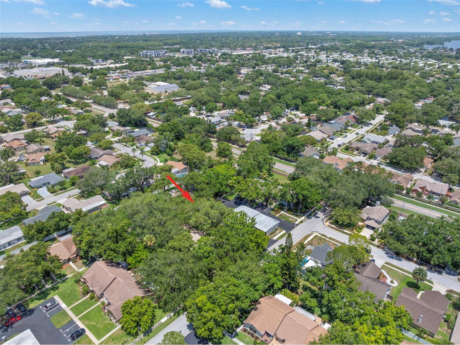 2668 Bentley Drive Palm Harbor FL 34684 TB8498063 image24