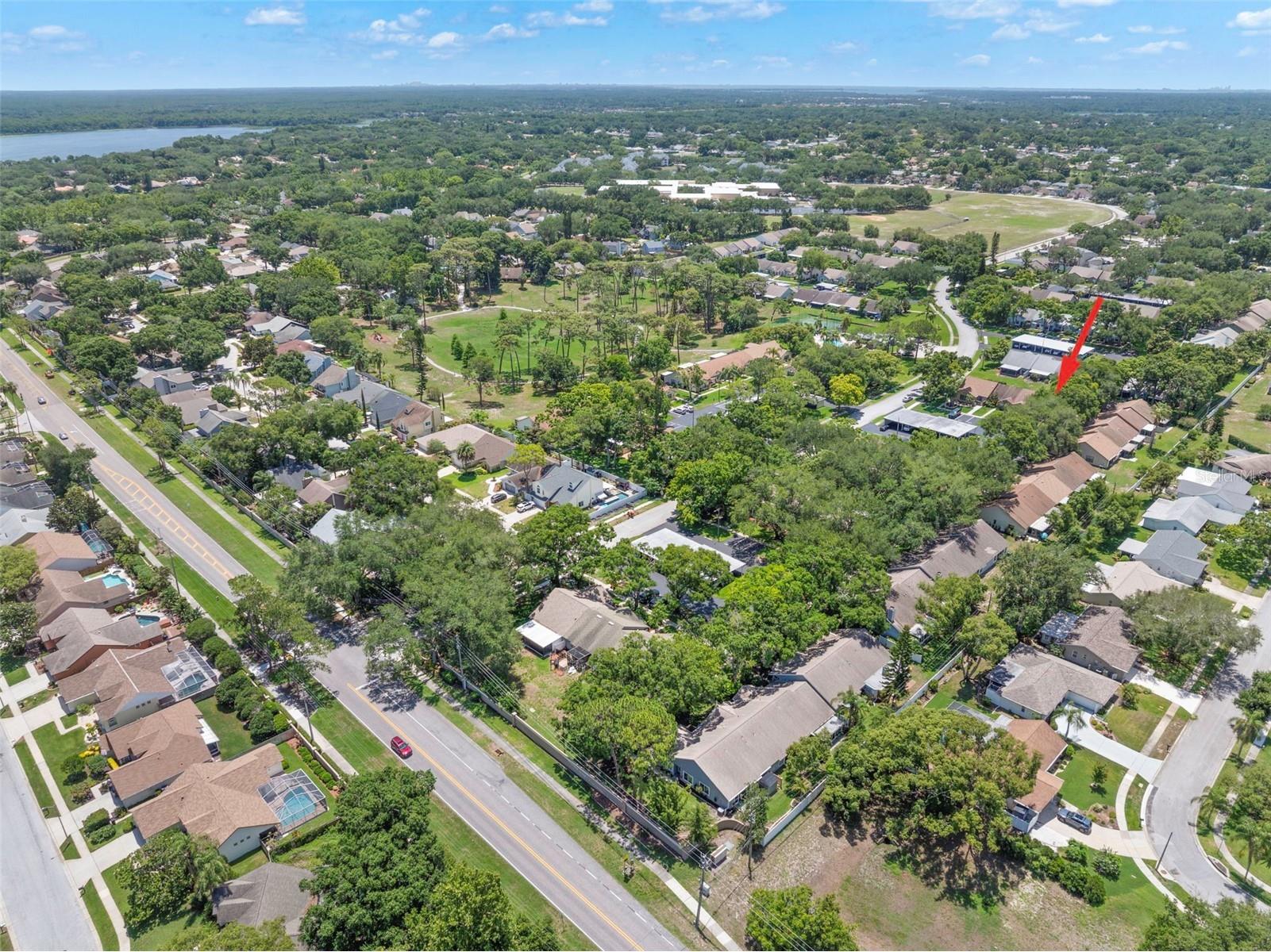 2668 Bentley Drive Palm Harbor FL 34684 TB8498063 image25