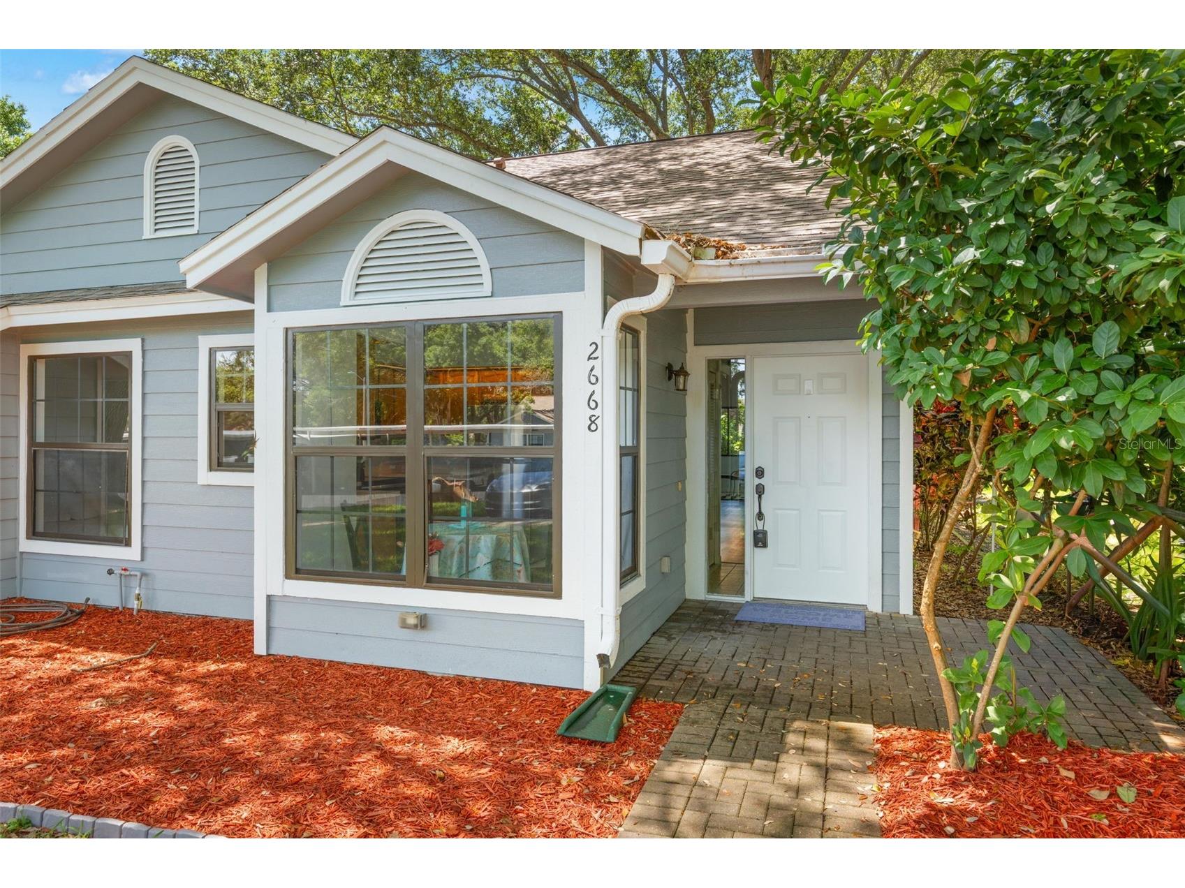 2668 Bentley Drive Palm Harbor FL 34684 TB8498063 image26