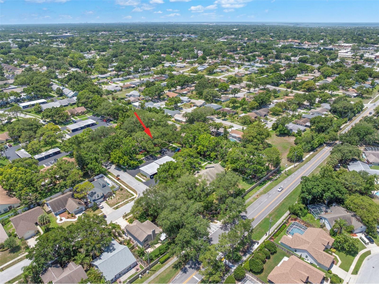 2668 Bentley Drive Palm Harbor FL 34684 TB8498063 image29