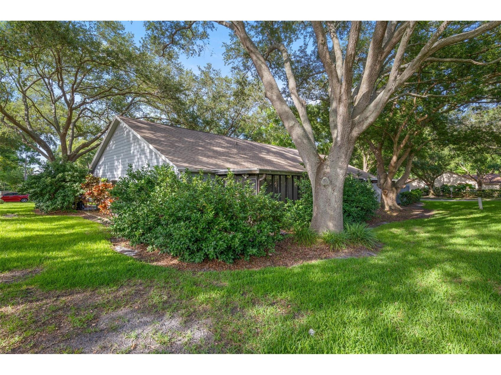 2668 Bentley Drive Palm Harbor FL 34684 TB8498063 image3