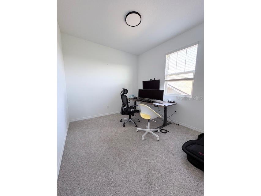 2668 Spider Lily Court Clermont FL 34711 TB8491767 image33