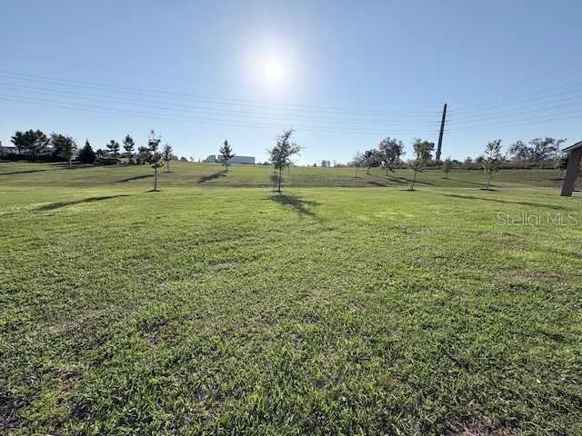 2668 Spider Lily Court Clermont FL 34711 TB8491767 image36