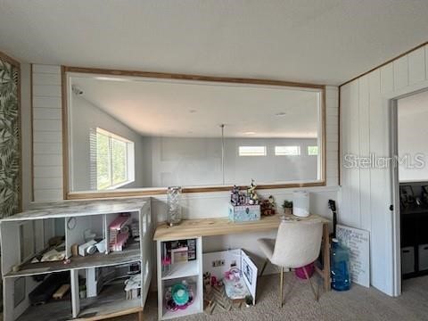 2668 Star Grass Circle Kissimmee FL 34746 S5129775 image23