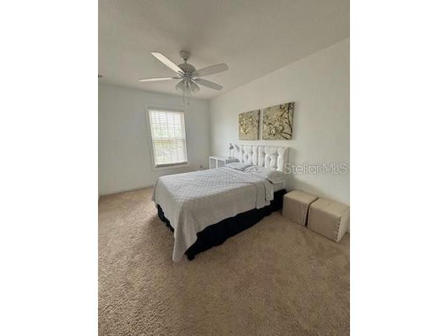 2668 Star Grass Circle Kissimmee FL 34746 S5129775 image28