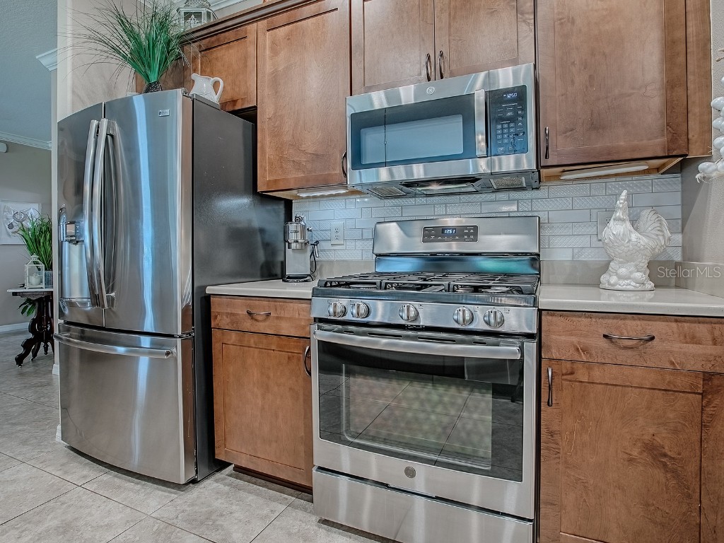 26689 Otter Creek Lane Leesburg FL 34748 G5103178 image19