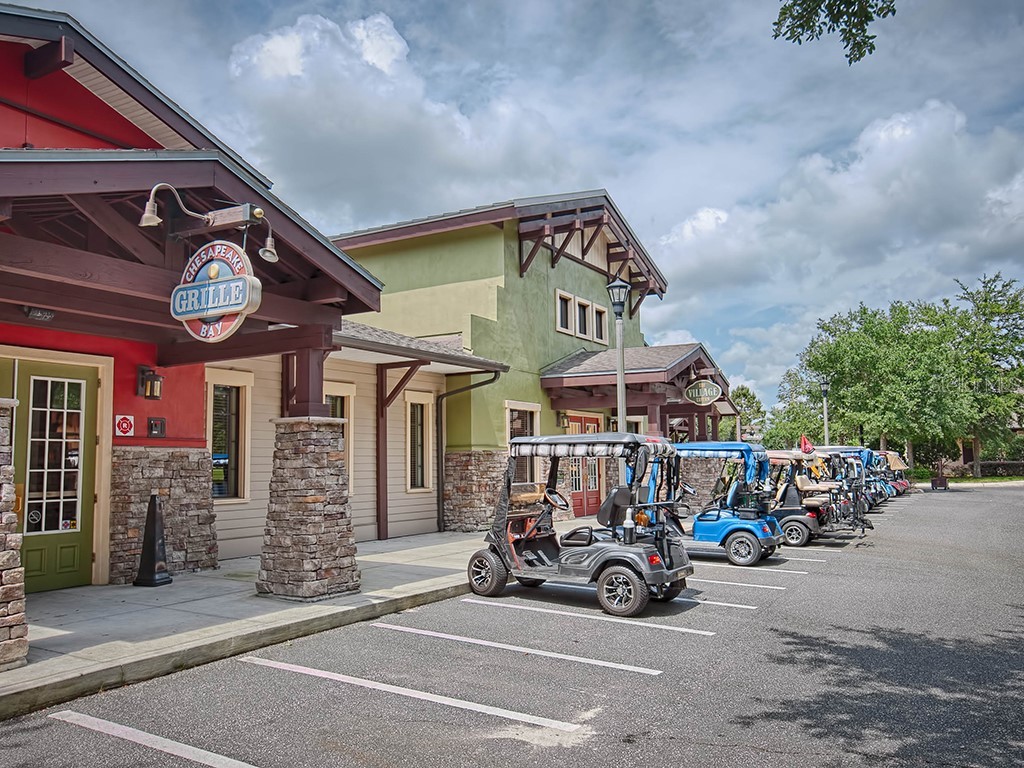 26689 Otter Creek Lane Leesburg FL 34748 G5103178 image58