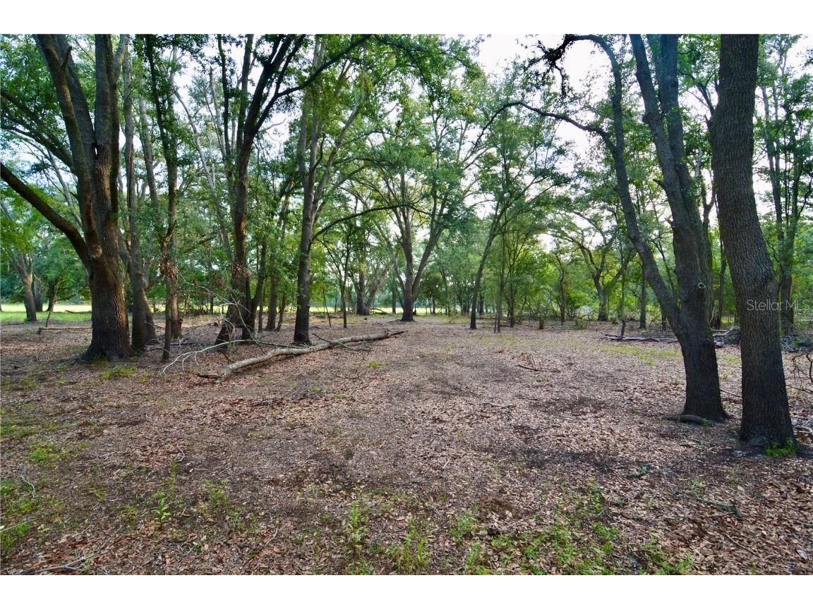 2669 NW Suwannee Valley Road Lake City FL 32055 OM706649 image15