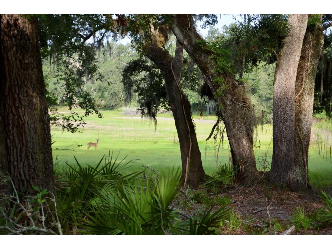 2669 NW Suwannee Valley Road Lake City FL 32055 OM706649 image25