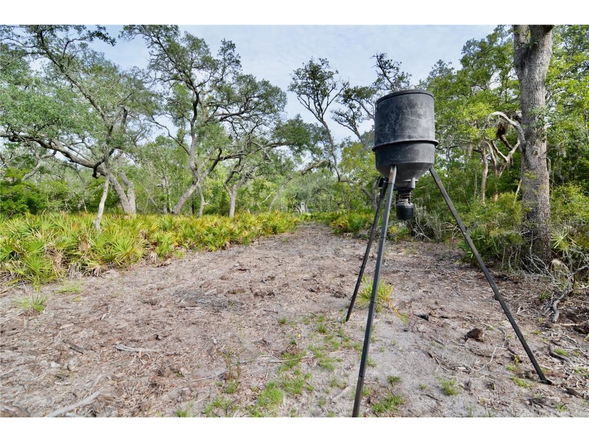 2669 NW Suwannee Valley Road Lake City FL 32055 OM706649 image28