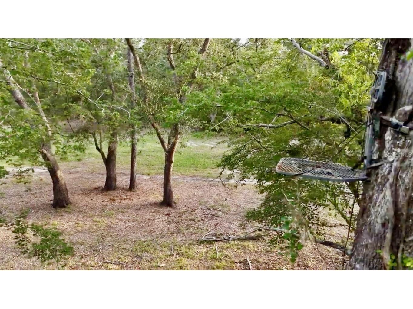 2669 NW Suwannee Valley Road Lake City FL 32055 OM706649 image51