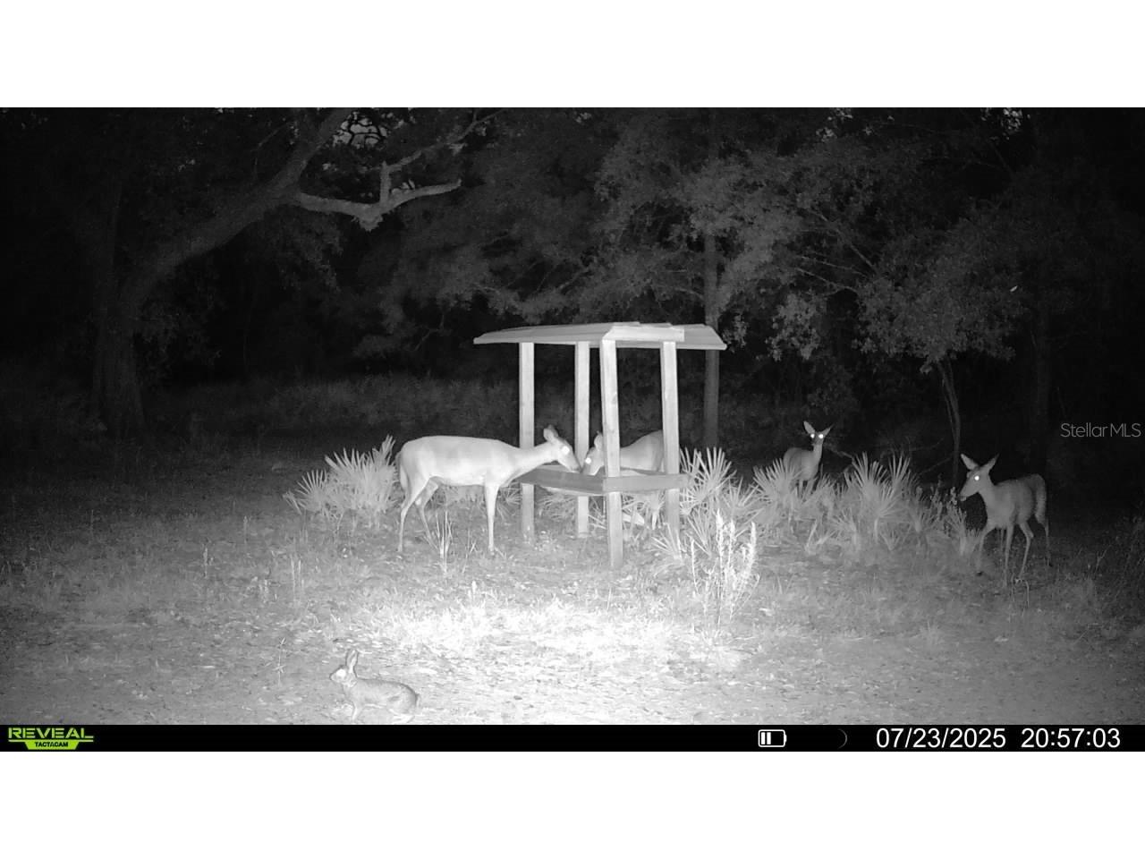 2669 NW Suwannee Valley Road Lake City FL 32055 OM706649 image61