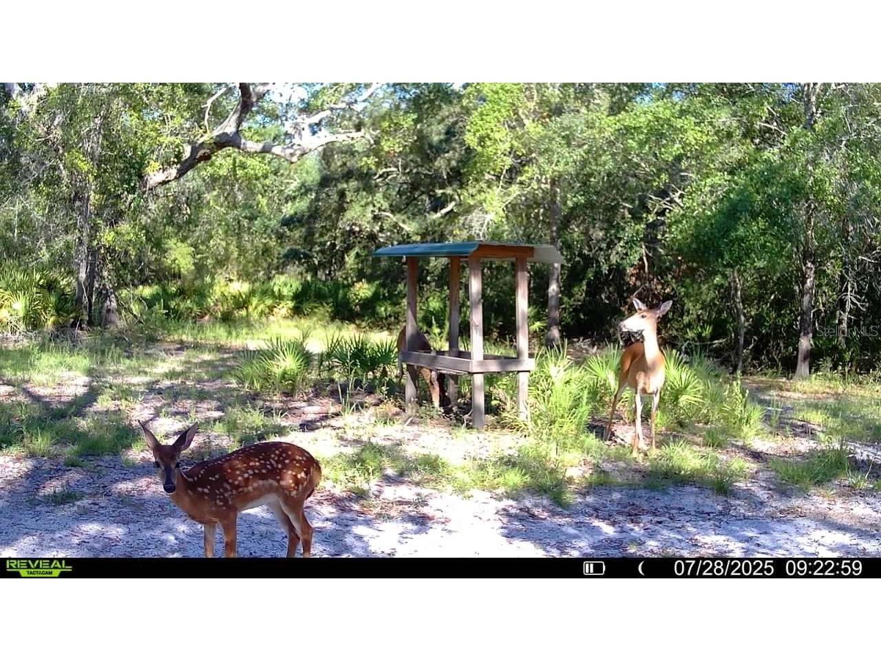 2669 NW Suwannee Valley Road Lake City FL 32055 OM706649 image62