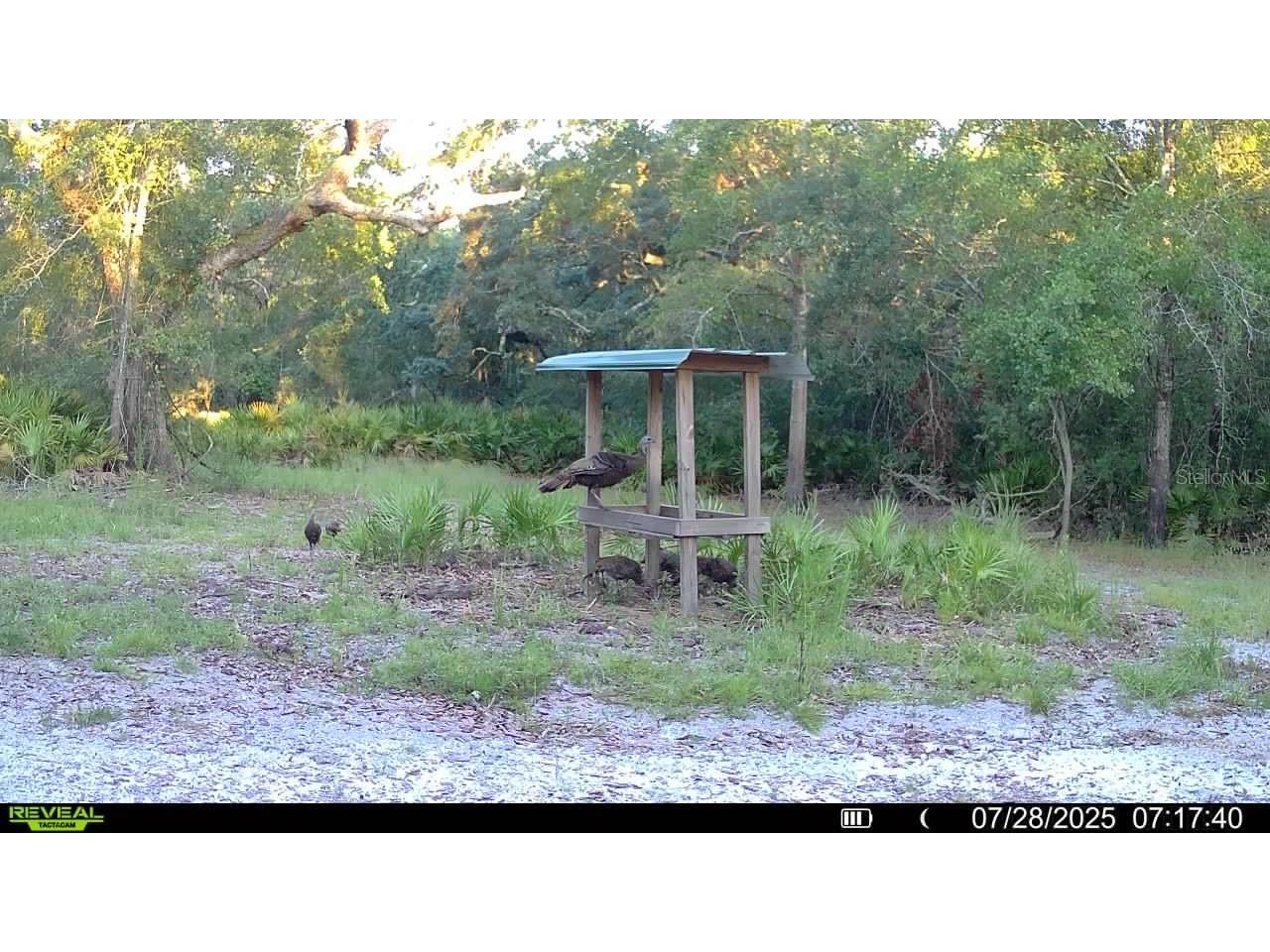 2669 NW Suwannee Valley Road Lake City FL 32055 OM706649 image63