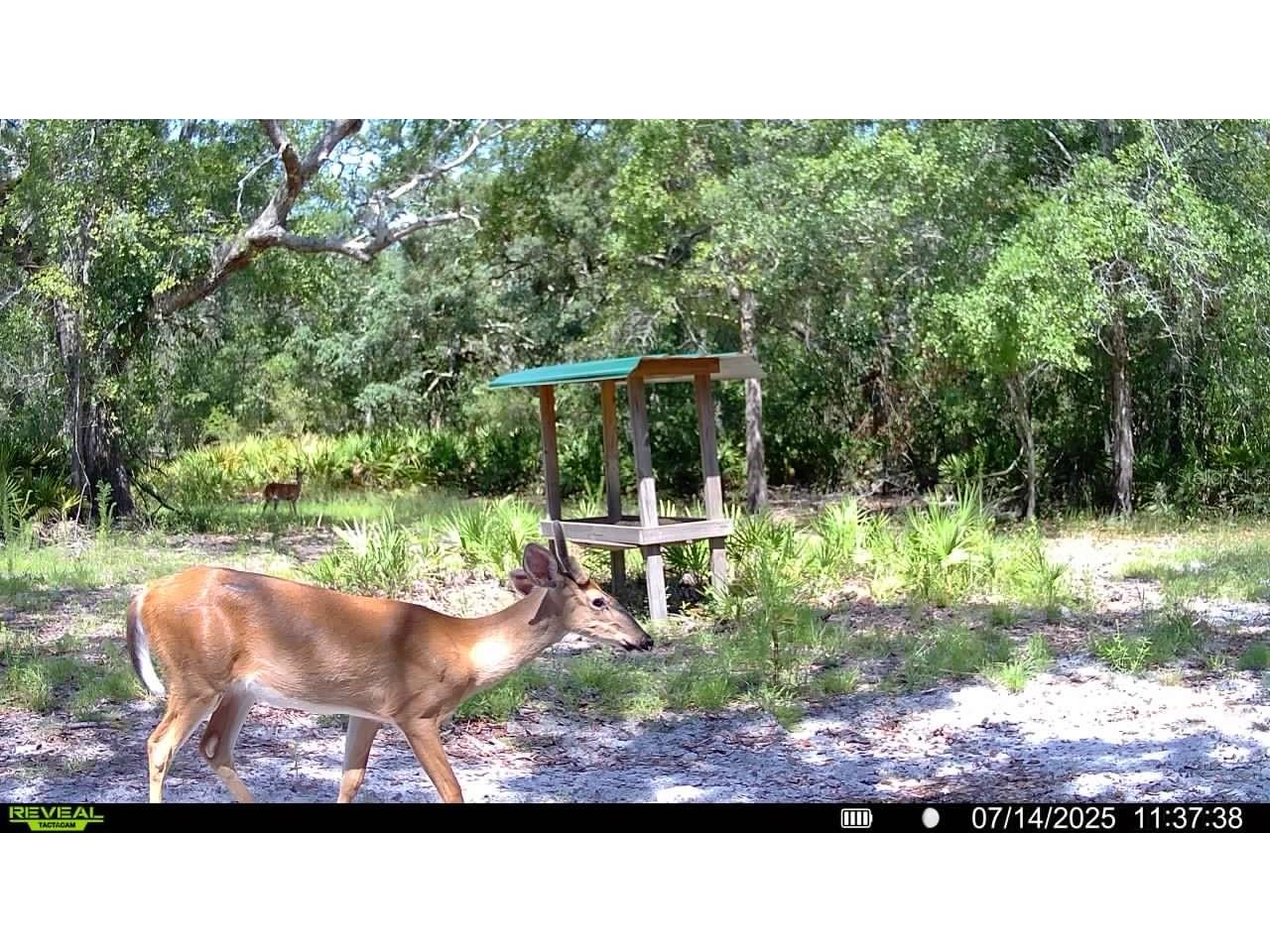 2669 NW Suwannee Valley Road Lake City FL 32055 OM706649 image64