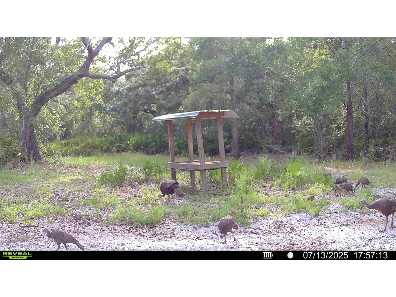 2669 NW Suwannee Valley Road Lake City FL 32055 OM706649 image65