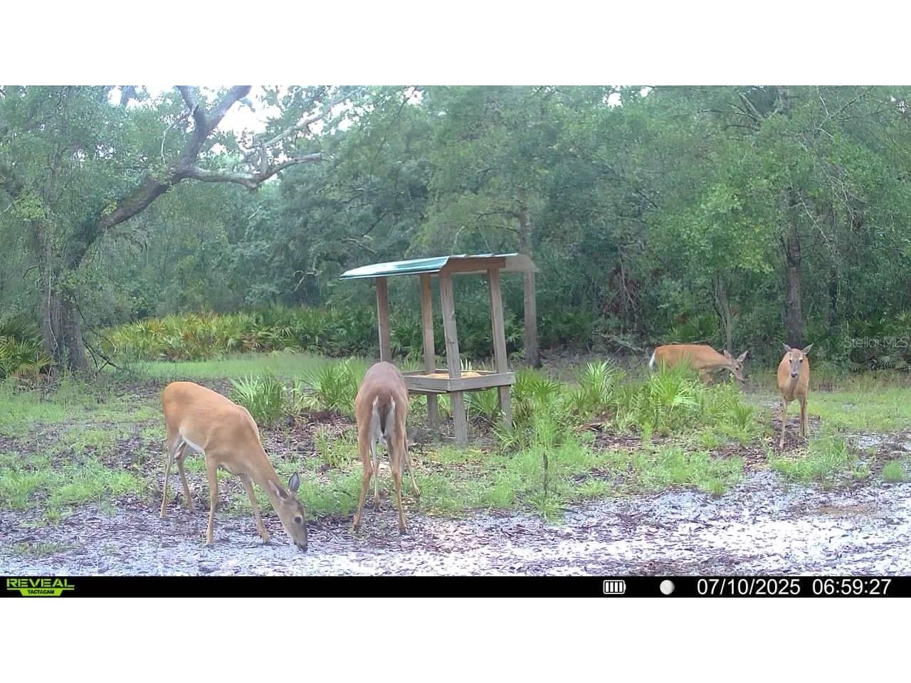 2669 NW Suwannee Valley Road Lake City FL 32055 OM706649 image66