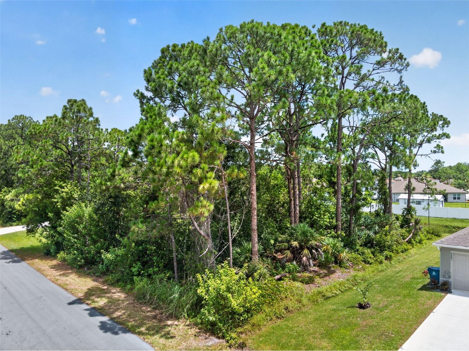 2669 Palomar Avenue SE Palm Bay FL 32909 O6427545 image7