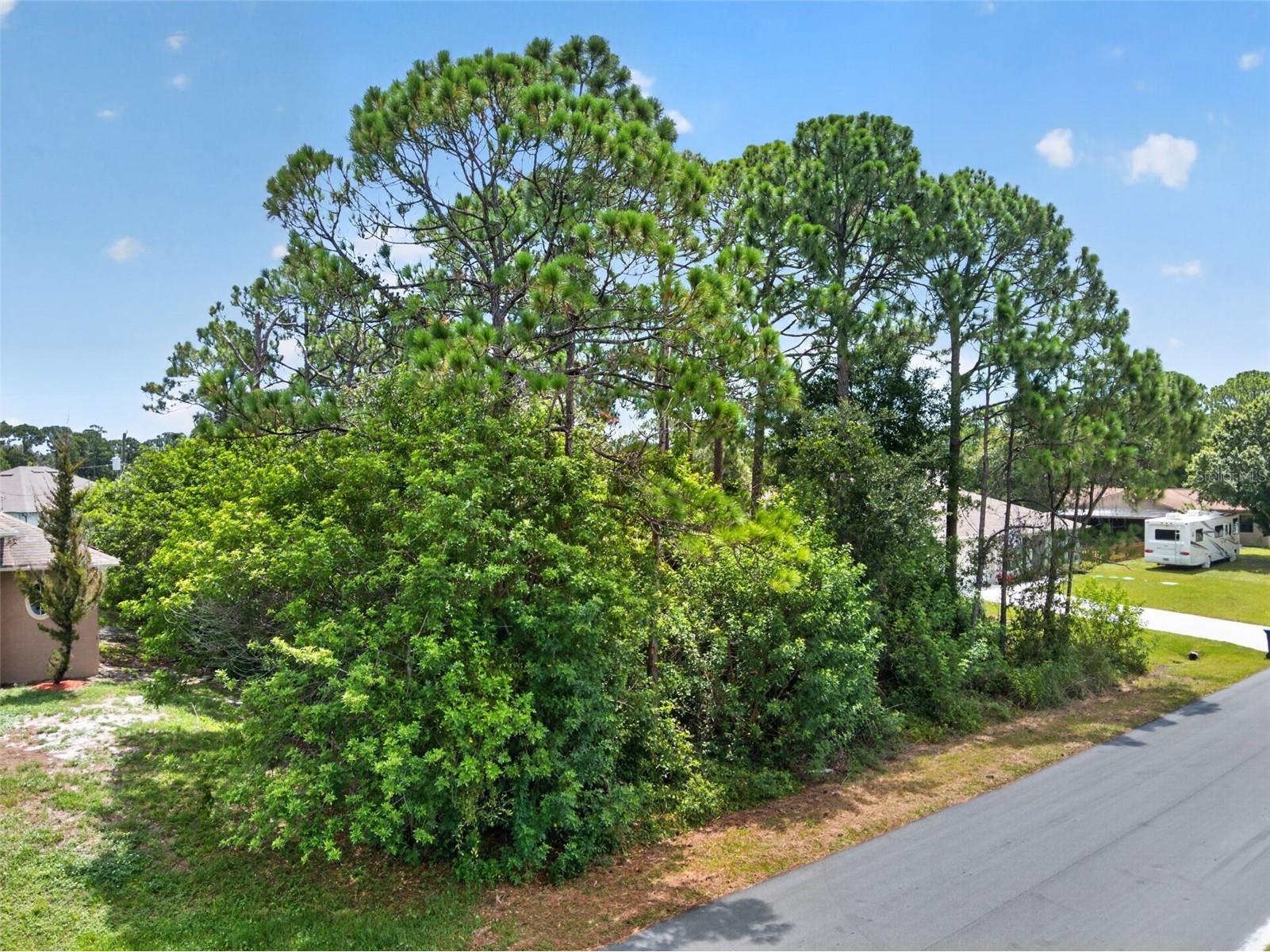 2669 Palomar Avenue SE Palm Bay FL 32909 O6427545 image8