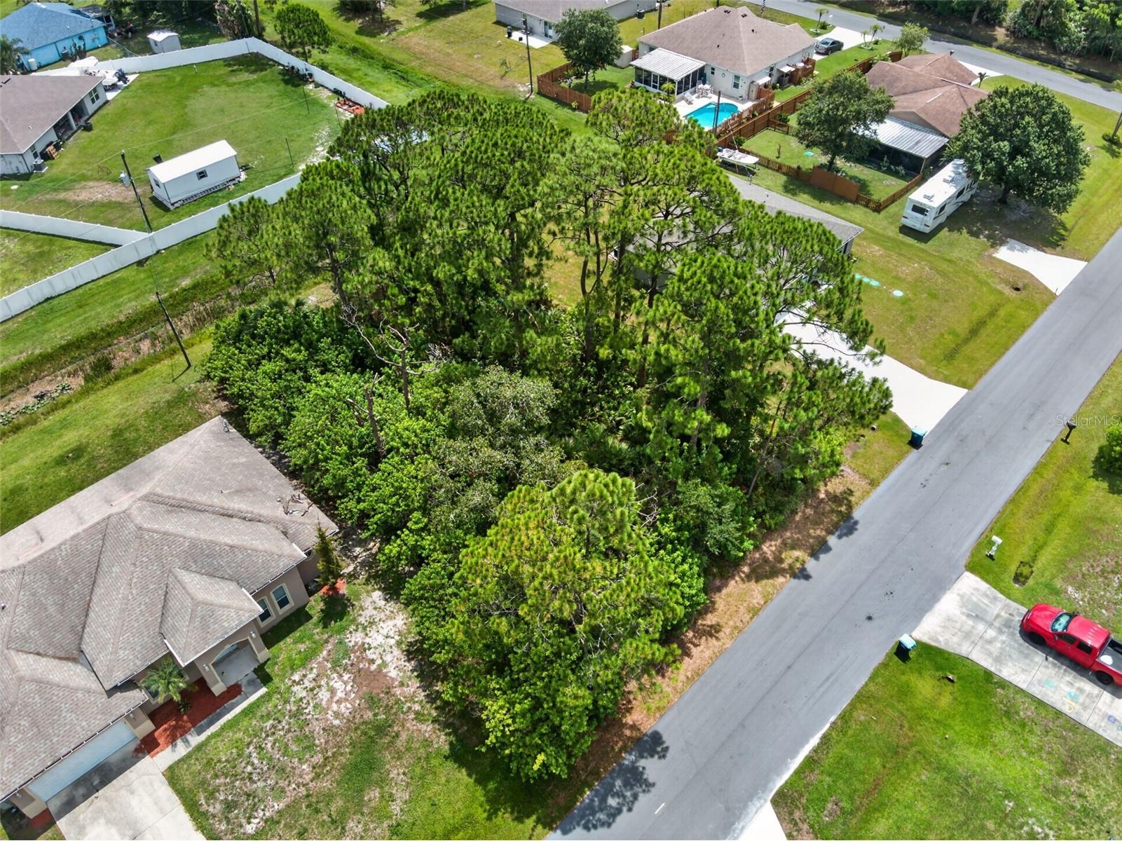 2669 Palomar Avenue SE Palm Bay FL 32909 O6427545 image9