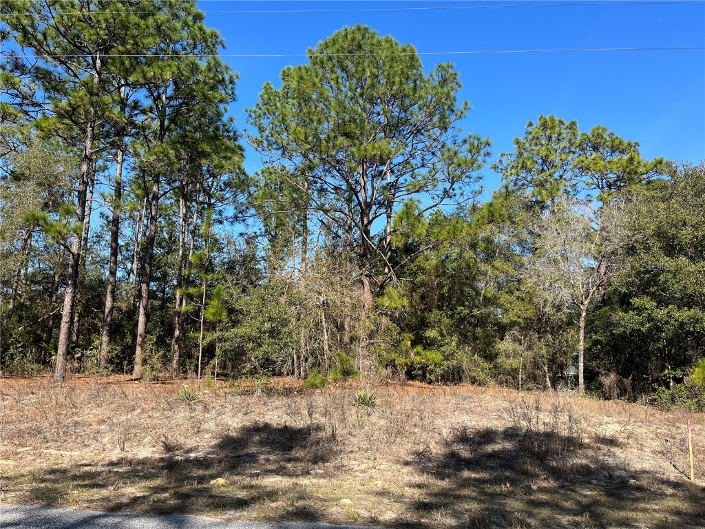 2669 W Braganza Street #TBD Citrus Springs FL 34433 OK222431 image1