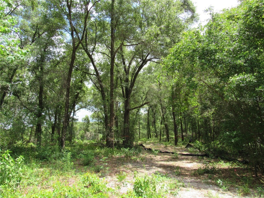 2669 Whitehurst Road Deland FL 32720 V4924682 image1