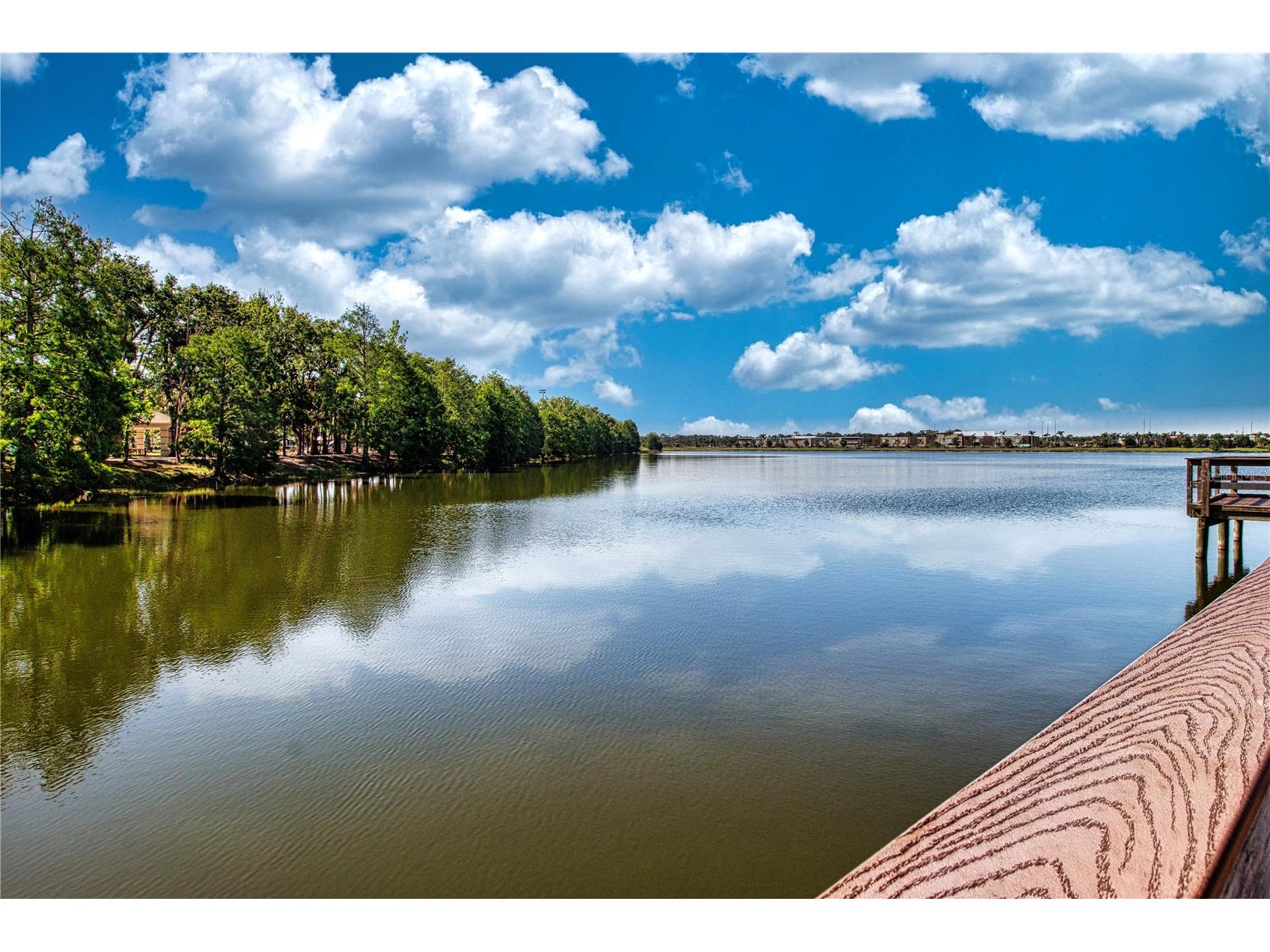 267 Heritage Isles Way Bradenton FL 34212 A4696903 image69