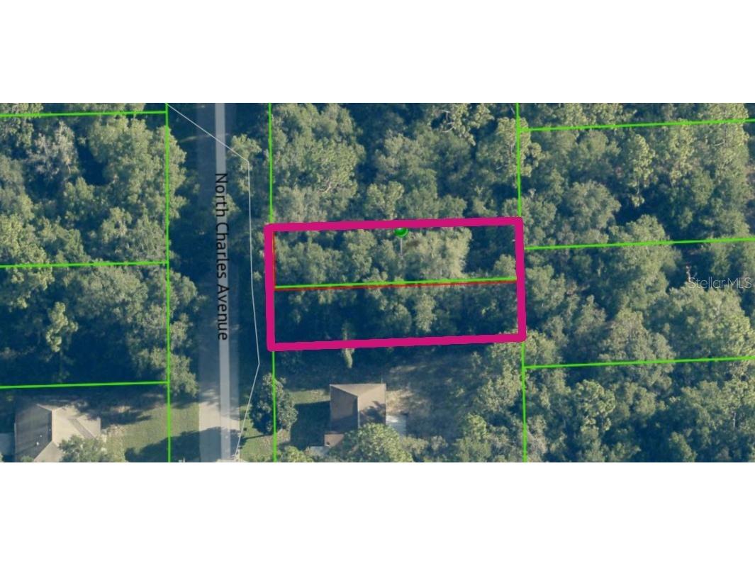 267 N Charles (Lots 66 & 67) Avenue Inverness FL 34453 W7879429 image1