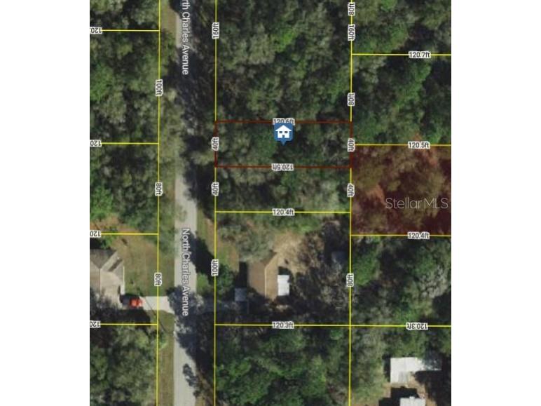 267 N Charles (Lots 66 & 67) Avenue Inverness FL 34453 W7879429 image2