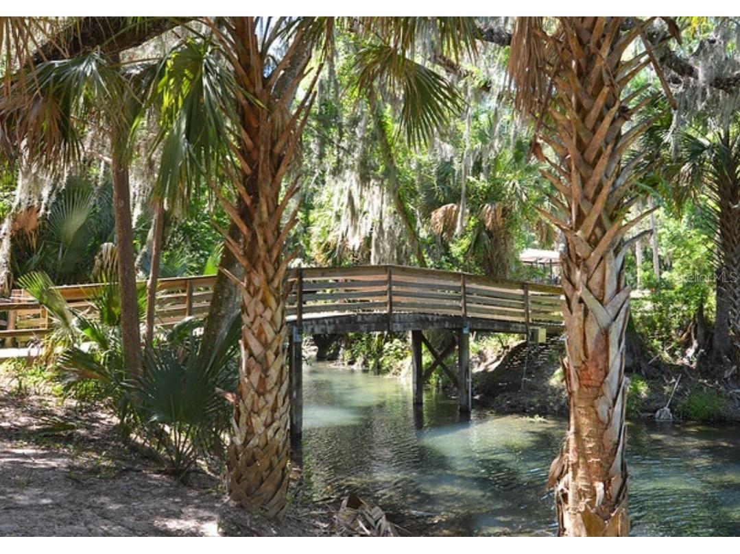 267 Sunrise Boulevard Debary FL 32713 R4908485 image5