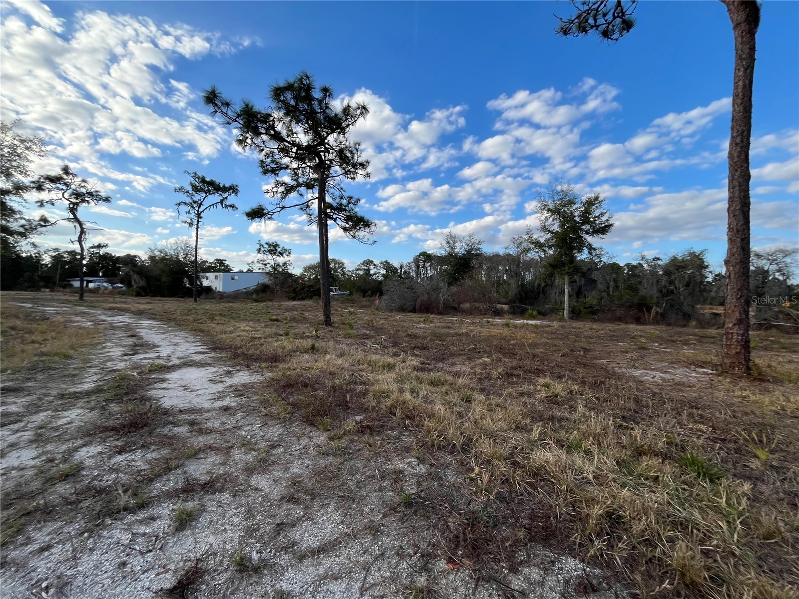 2670 Mcmichael Road Saint Cloud FL 34771 O6420577 image12