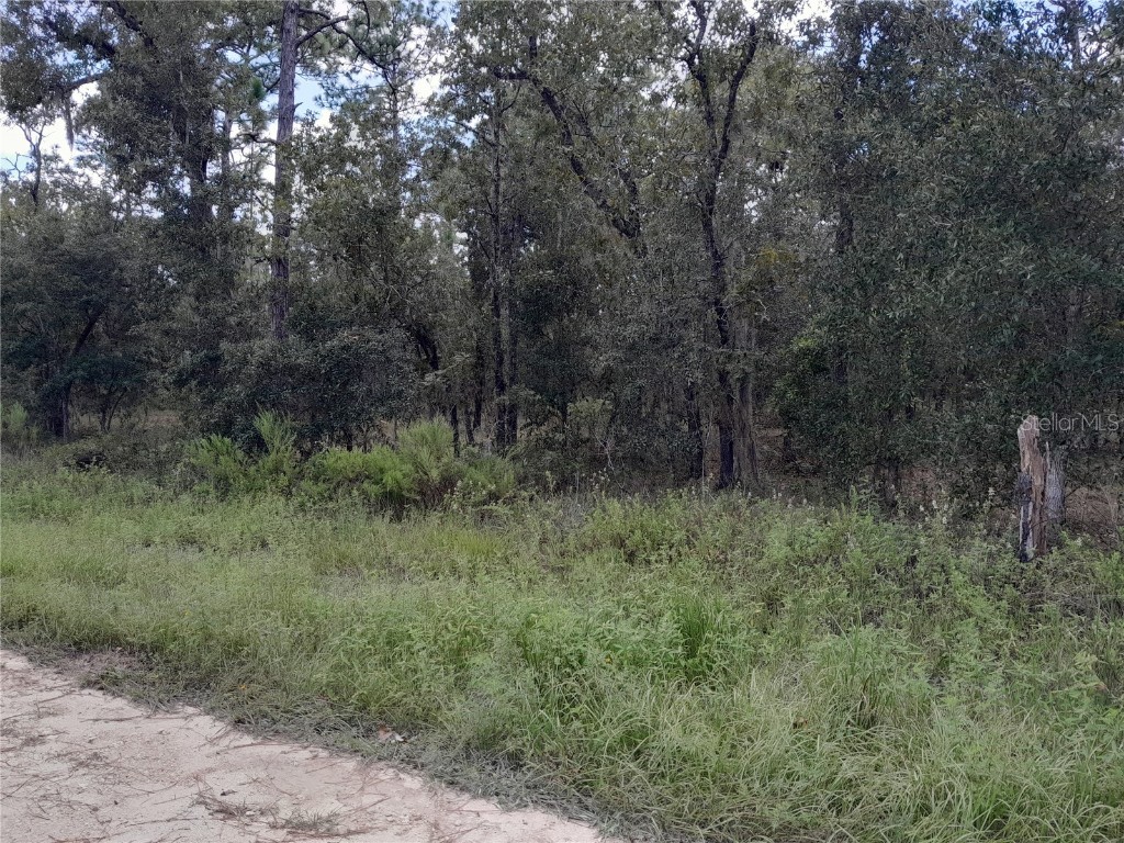 2670 SE 132nd Court Morriston FL 32668 OM663889 image1