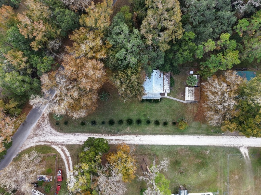 2670 SE 68th Street Gulf Hammock FL 32639 W7881131 image3