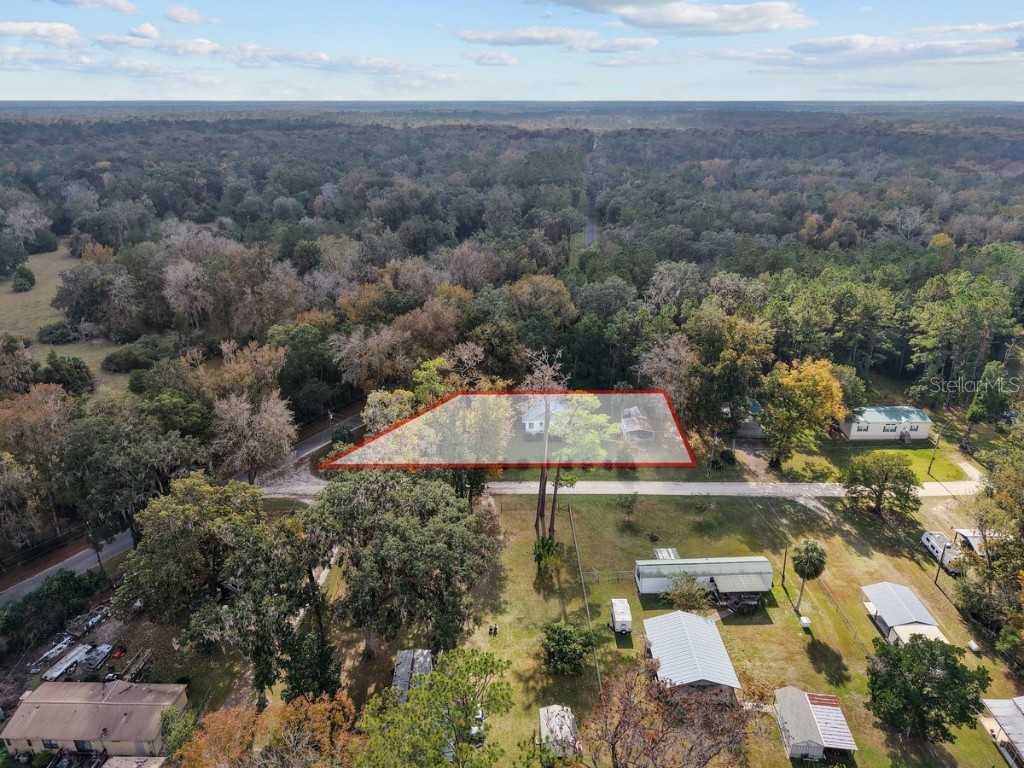 2670 SE 68th Street Gulf Hammock FL 32639 W7881131 image5