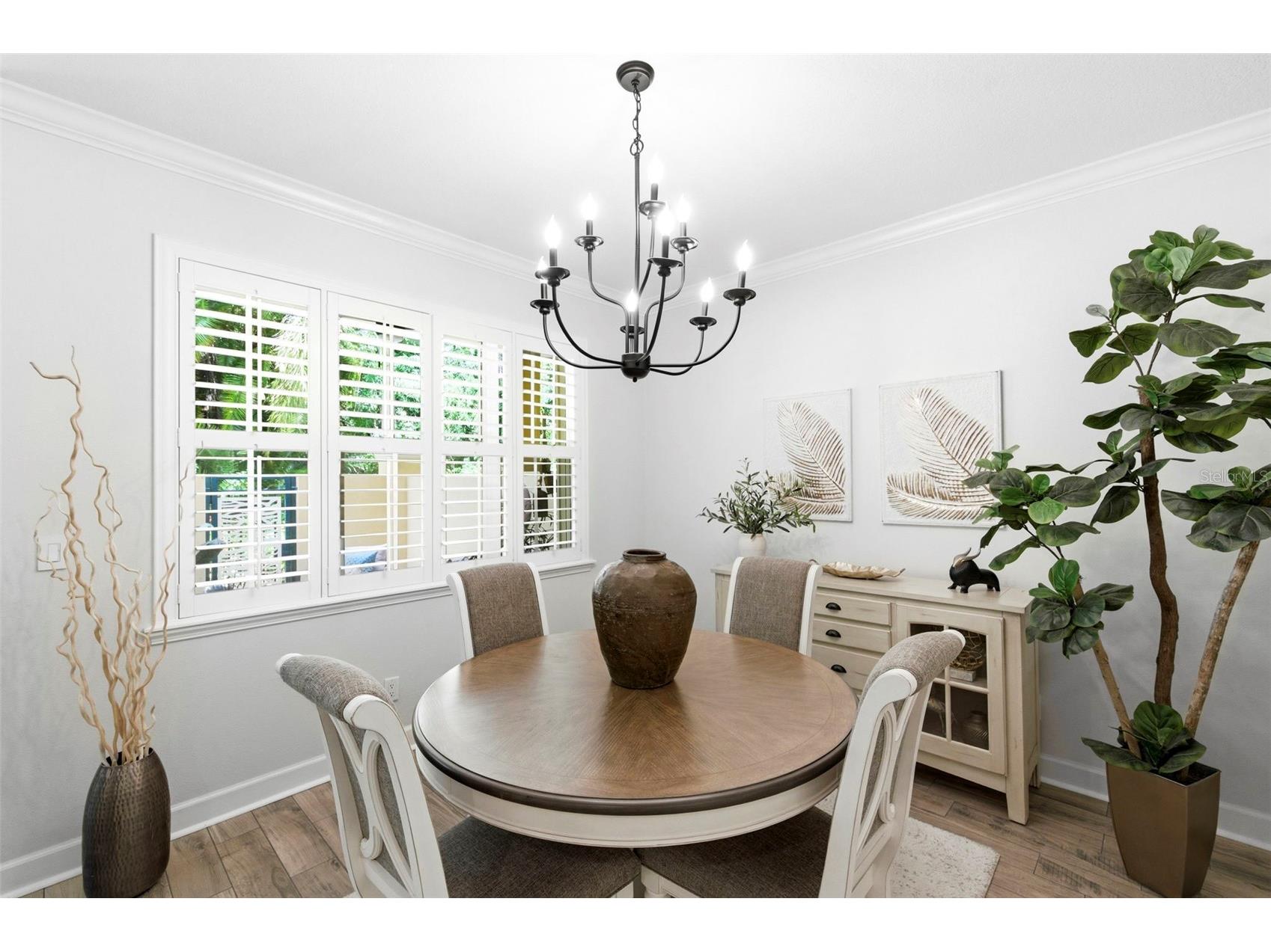 2670 Tanglewood Trail Palm Harbor FL 34685 TB8498124 image11