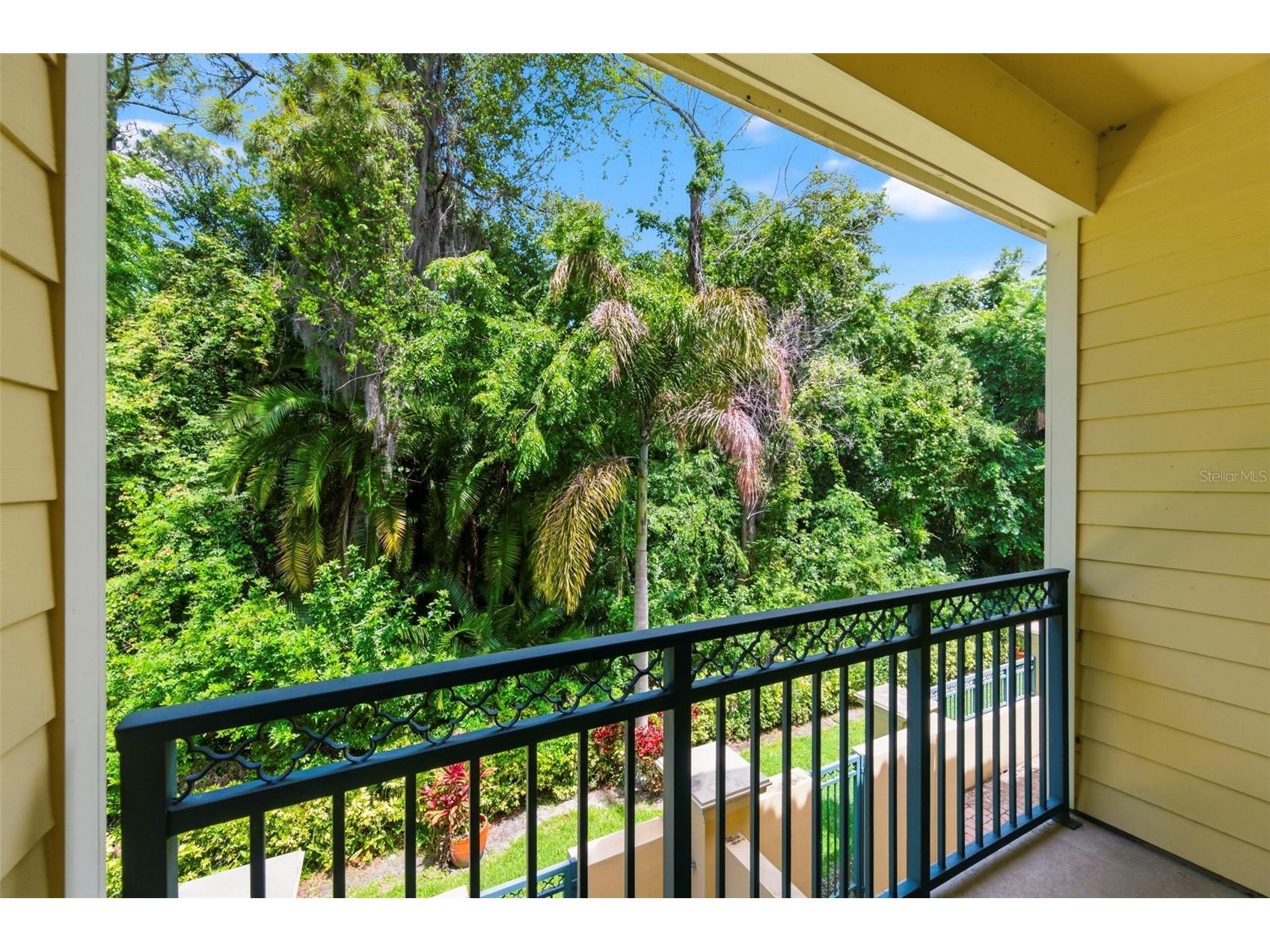 2670 Tanglewood Trail Palm Harbor FL 34685 TB8498124 image31
