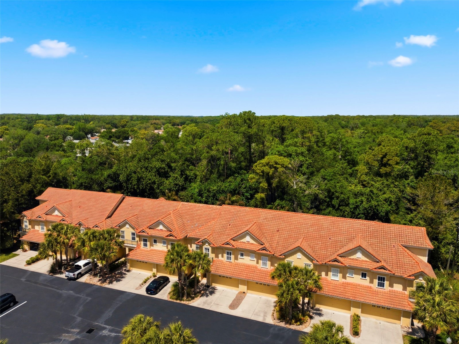 2670 Tanglewood Trail Palm Harbor FL 34685 TB8498124 image58