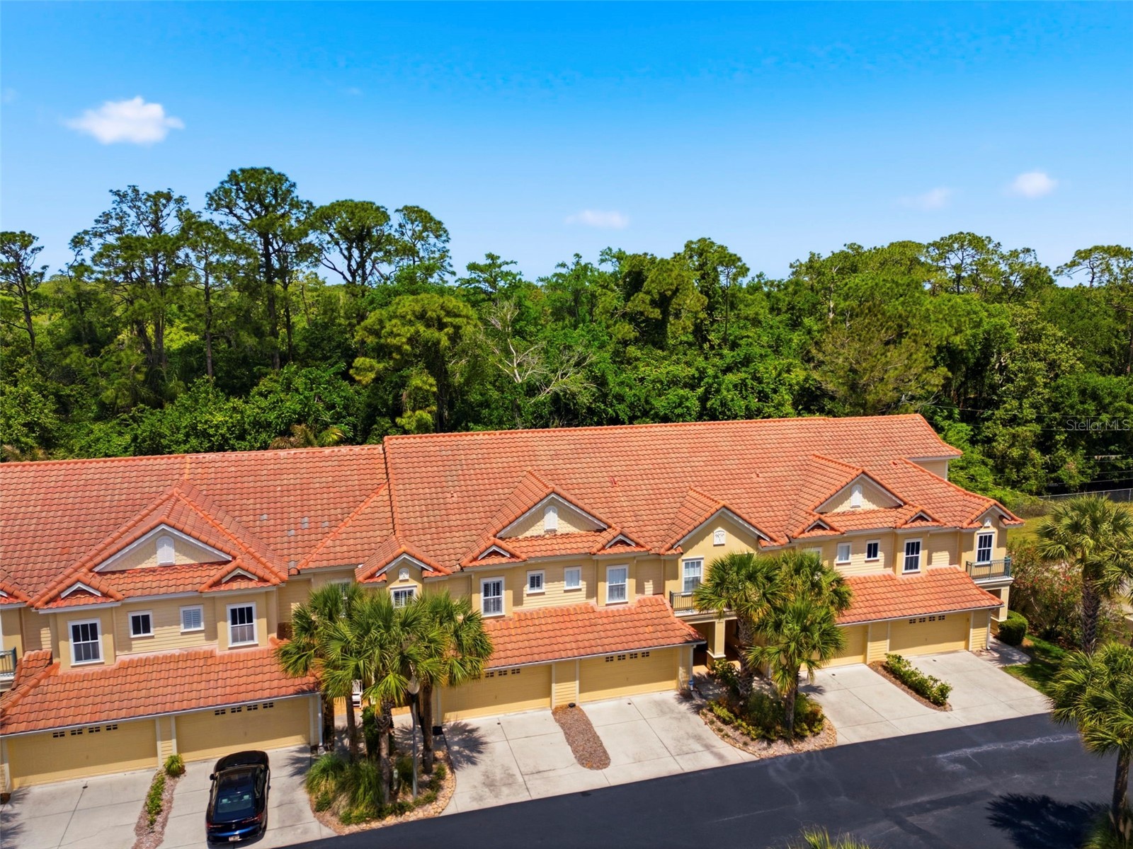 2670 Tanglewood Trail Palm Harbor FL 34685 TB8498124 image59