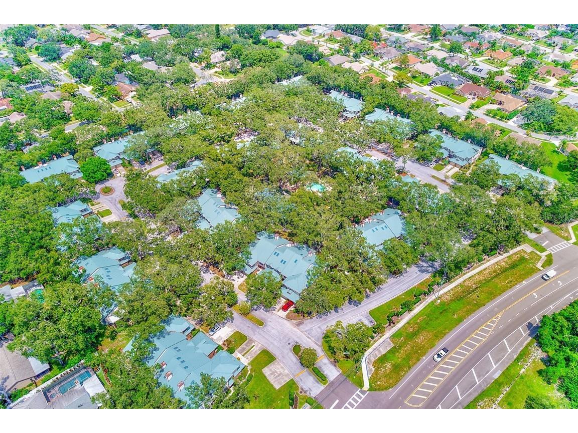 2670 Walnut Drive #2670 Palm Harbor FL 34683 TB8422826 image43