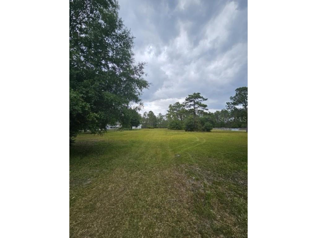 26707 Green Willow Run Wesley Chapel FL 33544 U8241108 image1