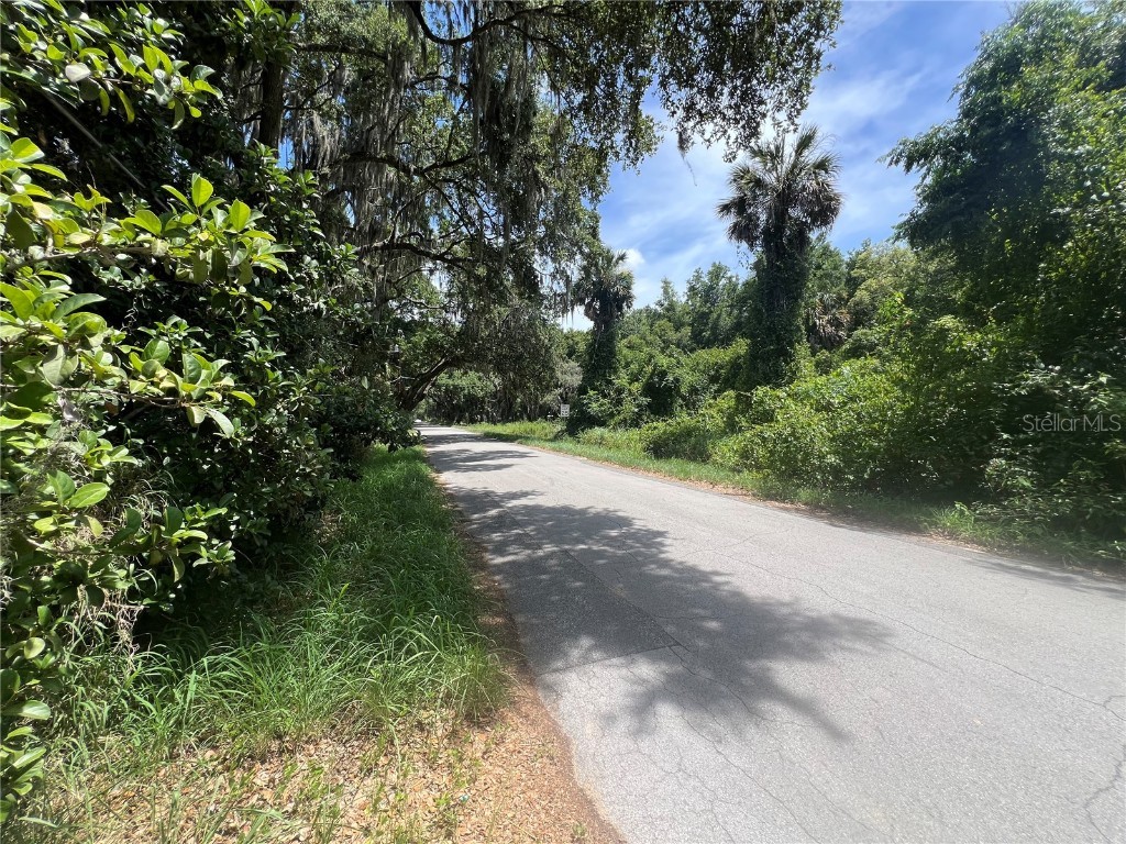 26707 Yalaha Road Yalaha FL 34797 O6216507 image1