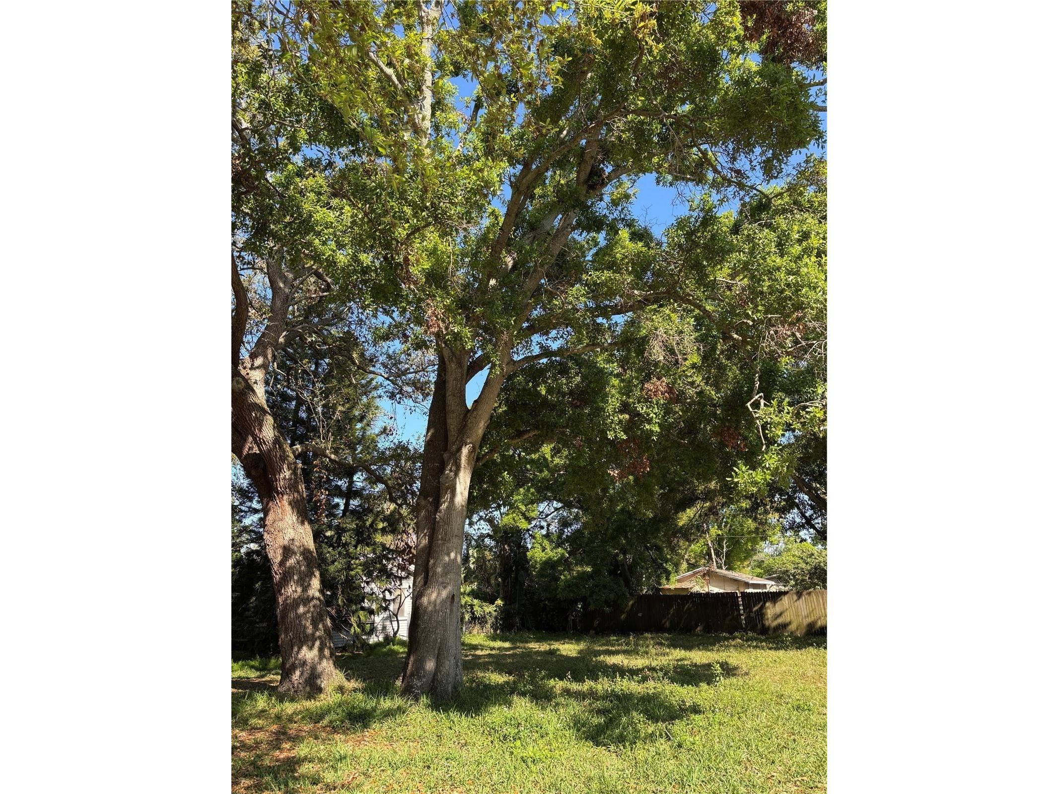 2671 61st Avenue N Saint Petersburg FL 33714 TB8477320 image2