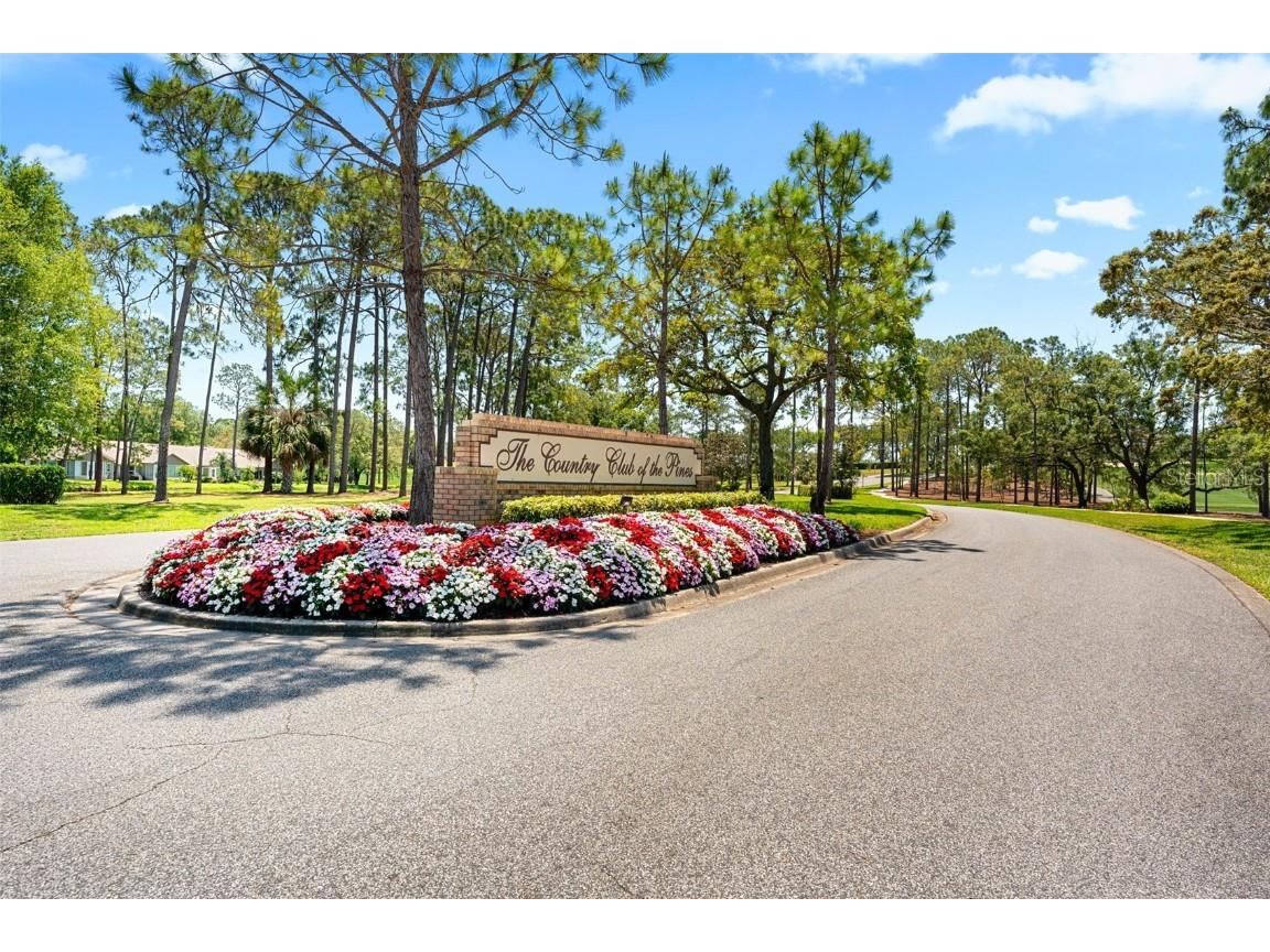 2671 Royal Ridge Drive Spring Hill FL 34606 TB8401156 image46