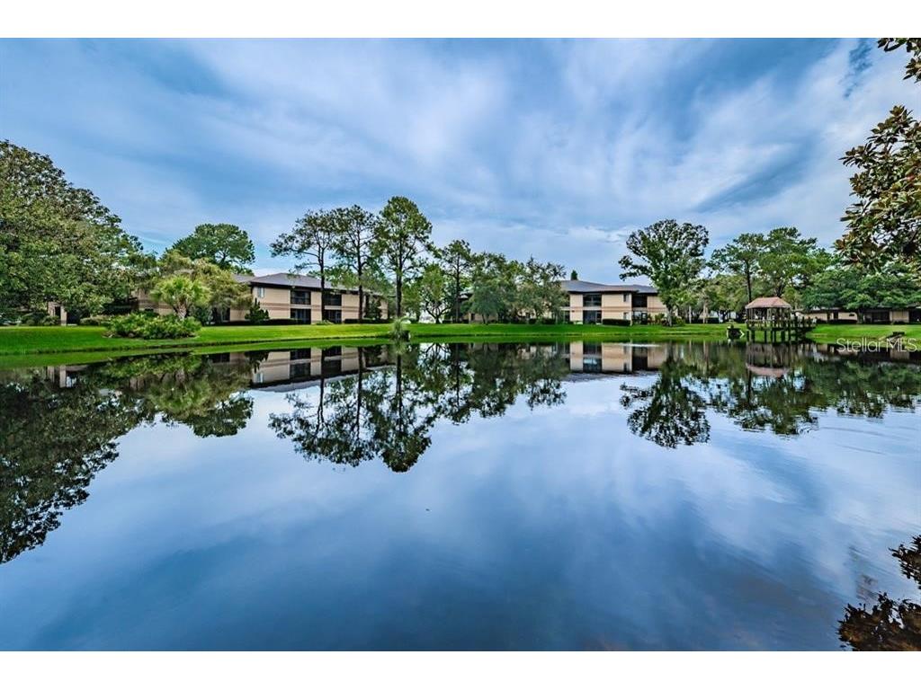 2671 Sabal Springs Circle #203 Clearwater FL 33761 U8208223 image1