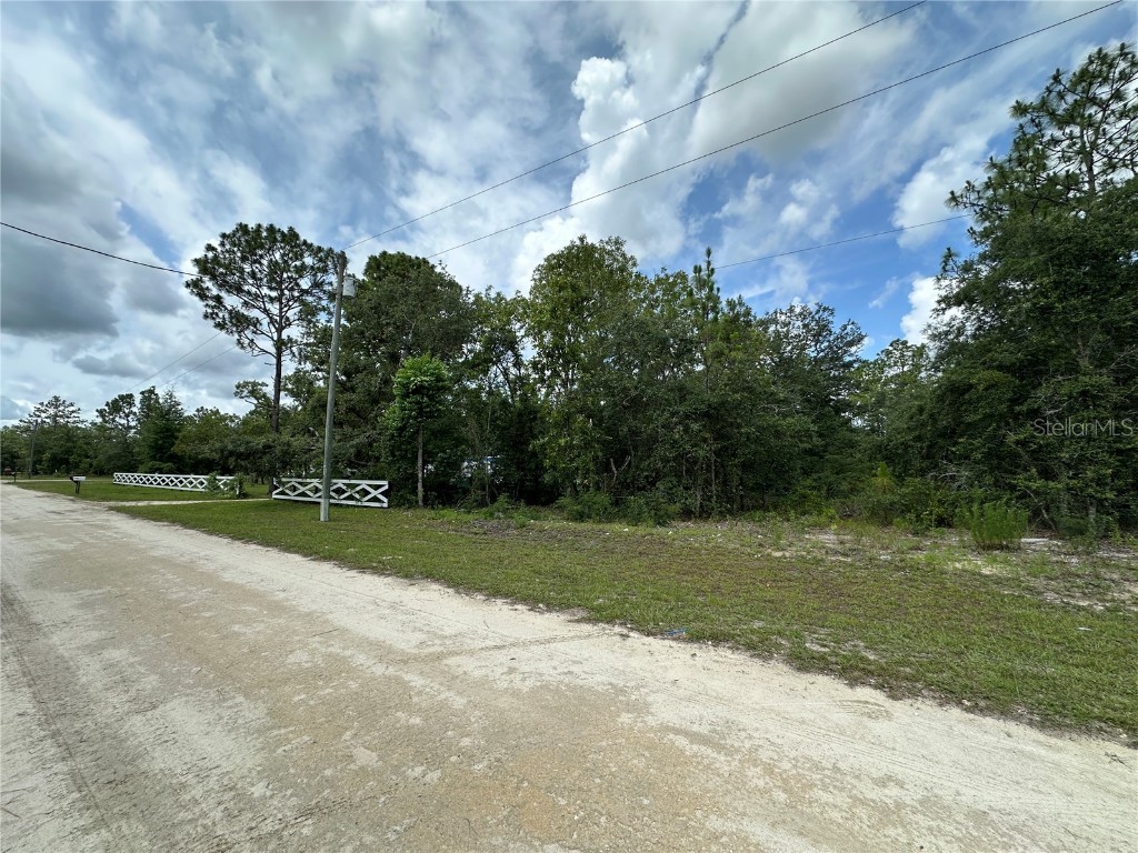 2671 SE 133rd Terrace Morriston FL 32668 OM702981 image1