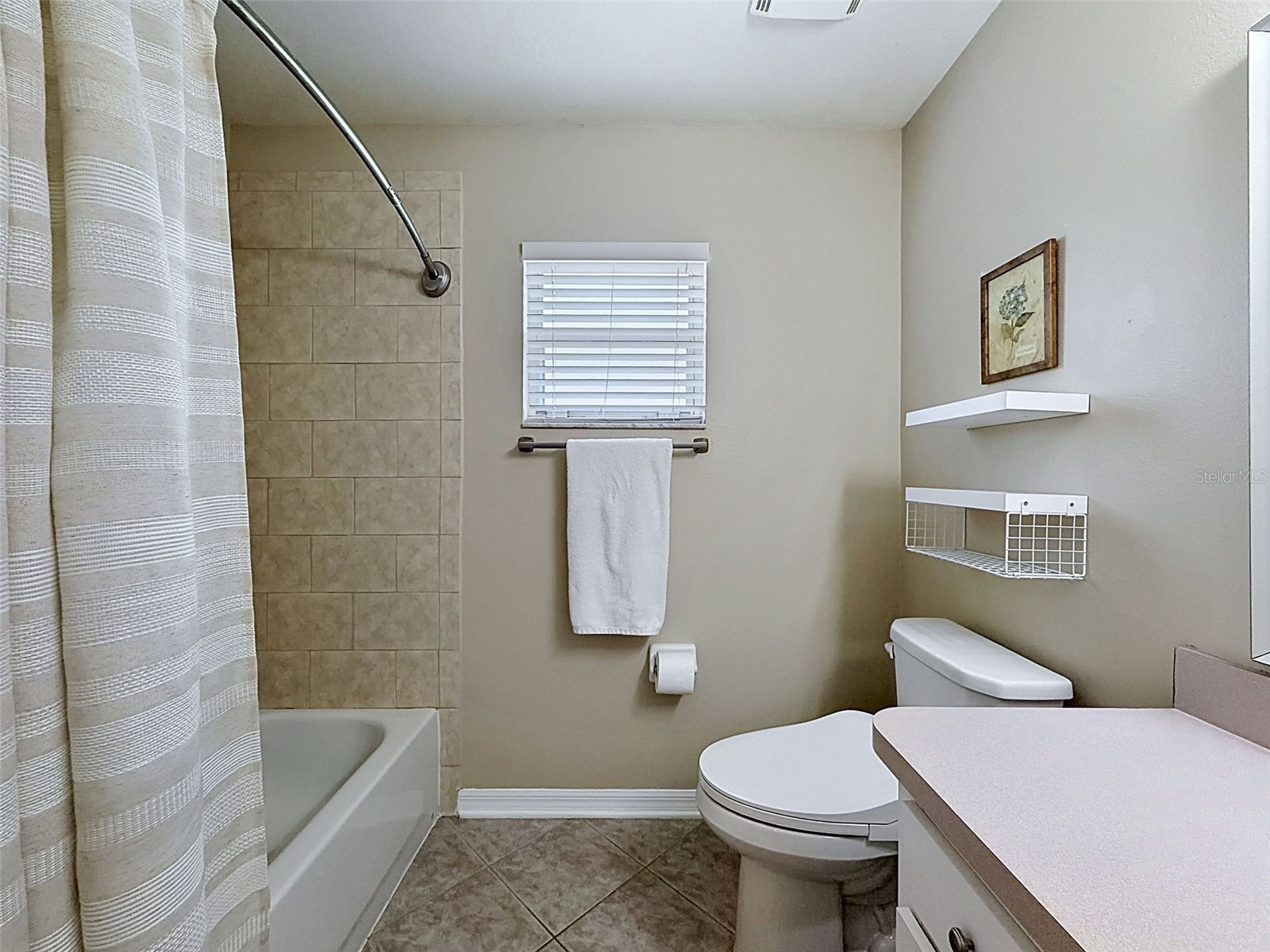 26714 Middleground Loop Wesley Chapel FL 33544 W7885488 image43