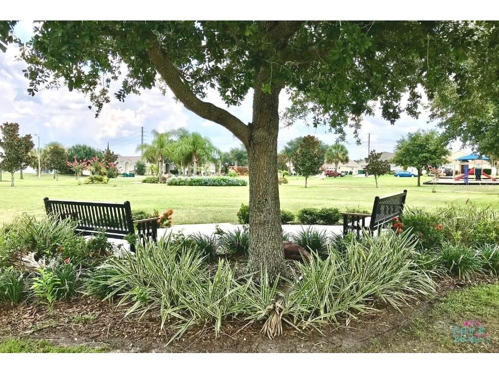 2672 Autumn Creek Circle Kissimmee FL 34747 O6405844 image48