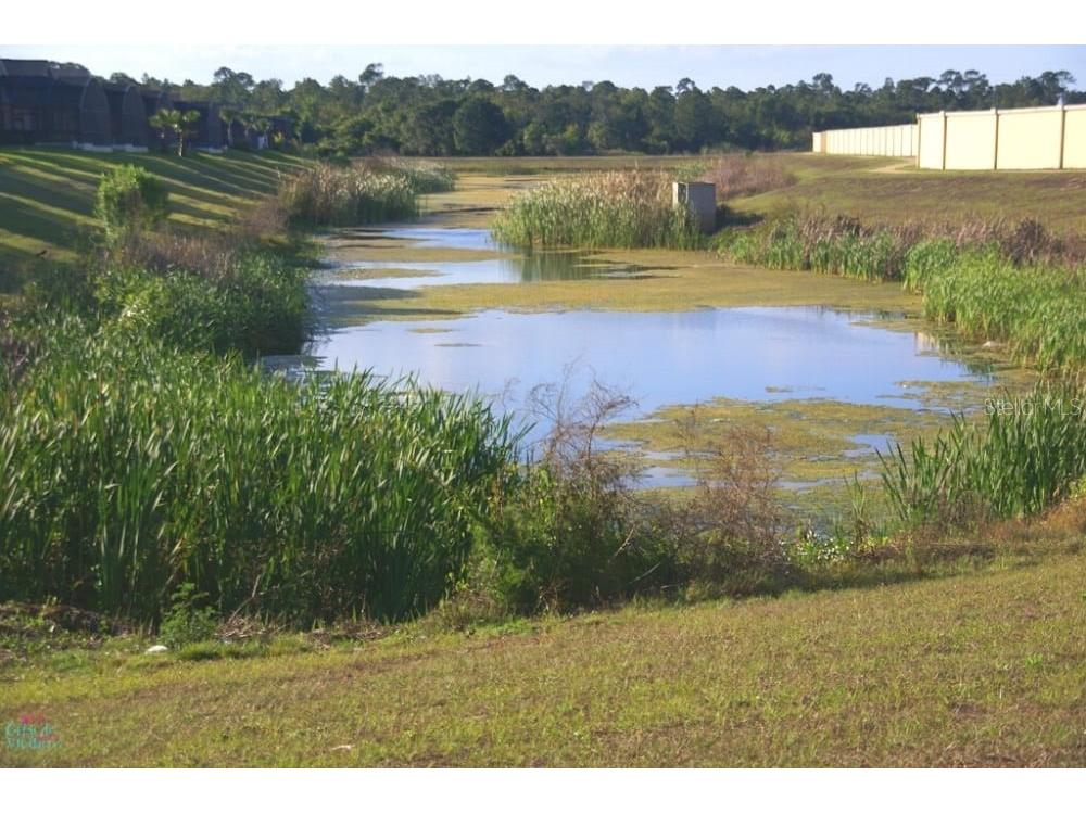 2672 Autumn Creek Circle Kissimmee FL 34747 O6405844 image59