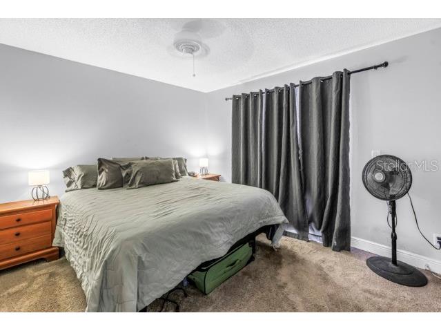 2672 Megan Court Palm Harbor FL 34684 TB8521448 image12
