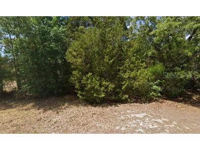 2672 S Willow Terrace Homosassa FL 34448 TB8383216 image1